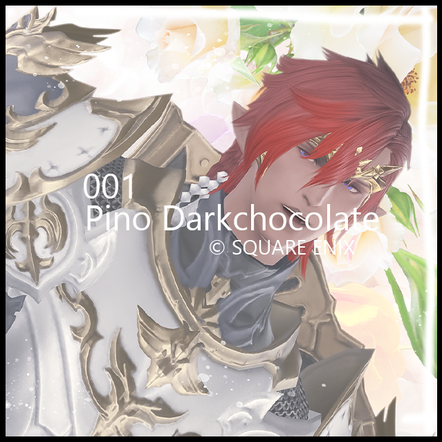 Pino Darkchocolate