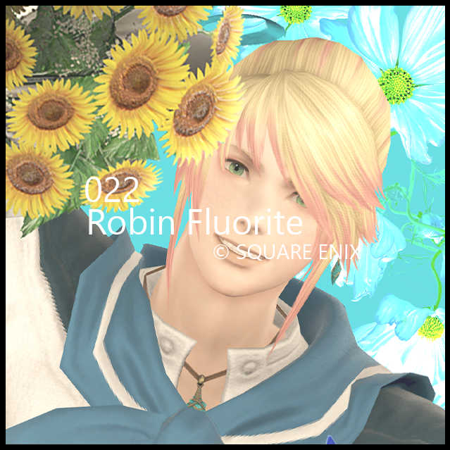 Robin Fluorite