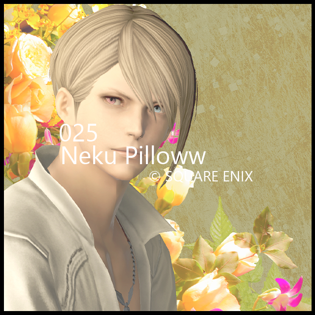 Neku Pilloww