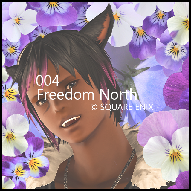 Freedom North