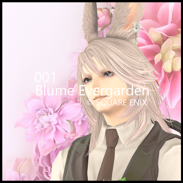 Blume Evergarden