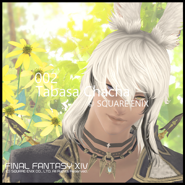 Tabasa Chacha